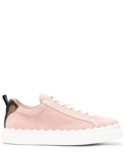 Chloé Lauren Low-top Sneakers In Pink
