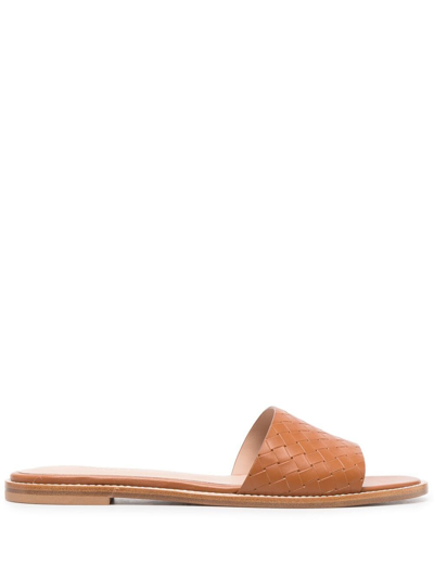 Scarosso Federica Interwoven Sandals In Cognac - Calf