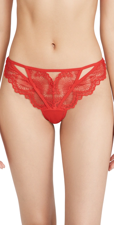 Thistle & Spire Kane Cutout Lace Thong In Blood Orange
