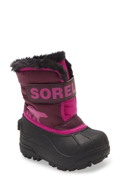 Sorel Kids' Snow Commander Insulated Waterproof Boot In Purple Dahlia/ Groovy Pink