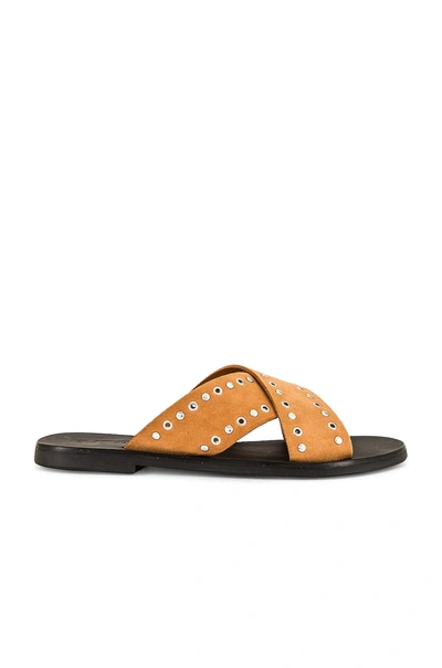 Sol Sana Kimber Slide In Toffee Suede