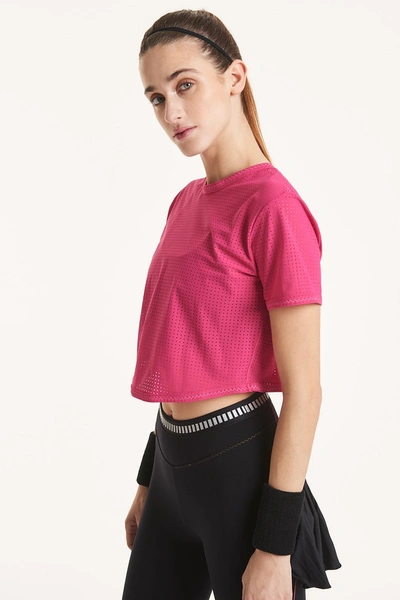 Sàpopa T Fucsia T Shirt In Pink