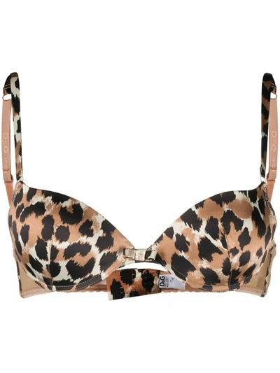 Dolce & Gabbana Dolce&gabbana Leopard-print Bra In Pink