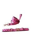 Dogs Of Glamour Pink Chevron Collar & Leash Set In Pink/white