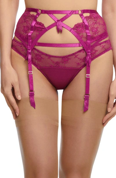 Dita Von Teese Madame X High-waisted Lace Suspender Belt In Magenta