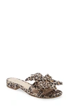 Cecelia New York Lila Slide Sandal In Leopard Leather