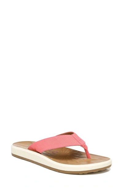 Zodiac Sunny Flip-flop Sandals Women's Shoes In Neon Pink