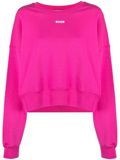 Msgm Micro Logo-print Sweatshirt In Pink