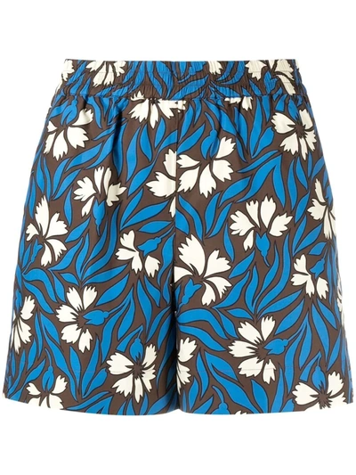 P.a.r.o.s.h Parosh High-waisted Floral Print Shorts In Blue