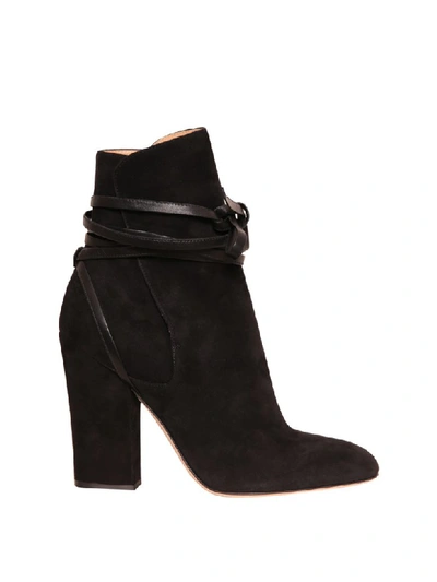 Sergio Rossi Tea Suede Ankle Boots In Nero