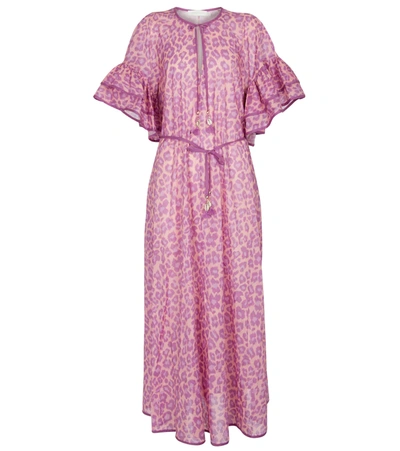 Zimmermann Teddy Ruffled Leopard-print Cotton Midi Dress In Violet