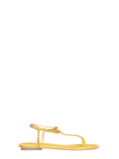 Giannico Kai Thong Sandals In Yellow