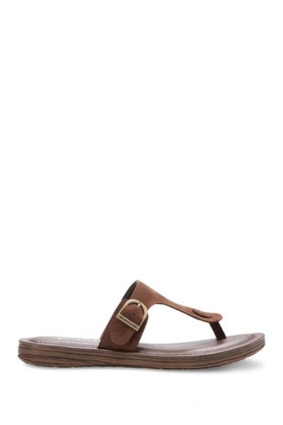 Eastland Emilia Buckle Sandal In Brown