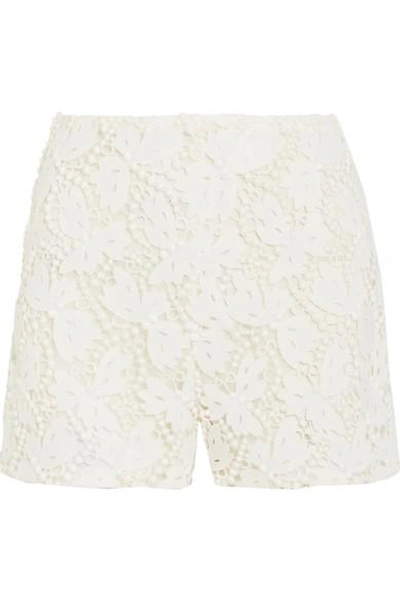 Valentino Cotton-blend Guipure Lace Shorts