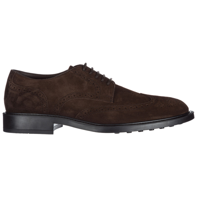 Tod's Perforated Derby Shoes In Brown