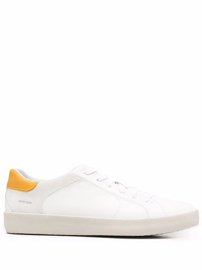Geox Men's Warley Low Top Sneakers In White Yellow
