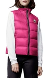 Canada Goose Cypress Packable 750-fill-power Down Vest In Burdock Pink