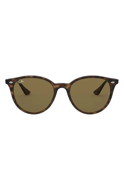 Ray Ban Phantos 53mm Polarized Round Sunglasses In Havana/ Brown Solid