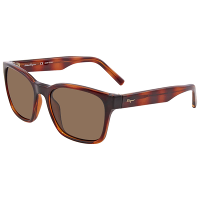 Ferragamo Green Square Ladies Sunglasses Sf959s 214 55 In Green,tortoise