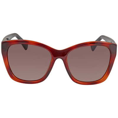 Ferragamo Brown Cat Eye Ladies Sunglasses Sf957s 214 56 In Brown / Tortoise