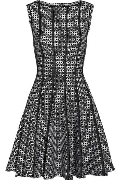 Alaïa Delphinium Jacquard-knit Mini Dress