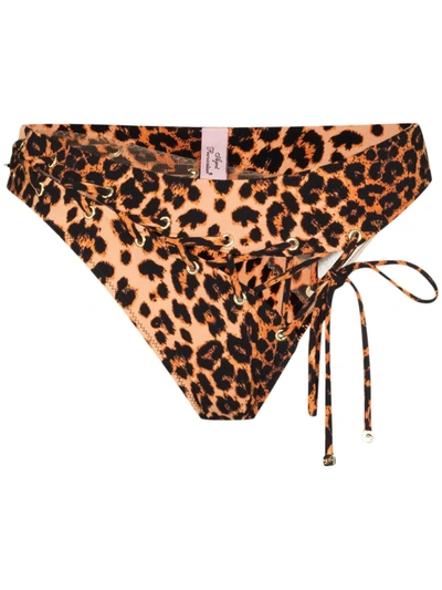 Agent Provocateur Marney Leopard Print Bikini Bottoms In Neutrals