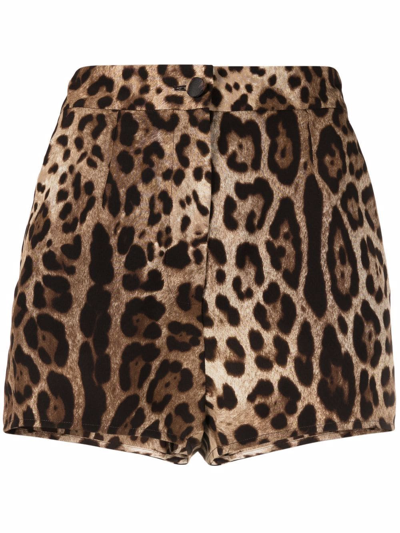 Dolce & Gabbana Leopard Silk Shorts In Brown