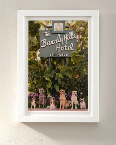 Gray Malin Dogs At The Beverly Hills Hotel Vertical Mini Giclee Print