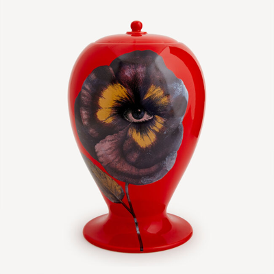 Fornasetti Vase Pensee In Multicolour