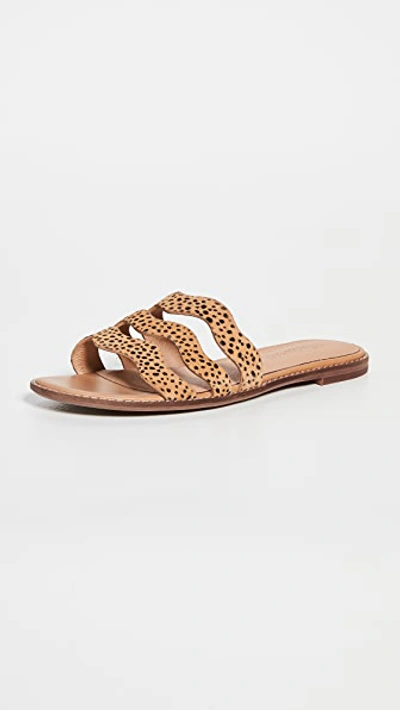 Madewell The Wave Slide Sandal In Muted Amber Multi