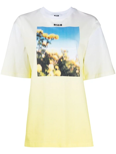 Msgm Graphic Logo-print T-shirt In Yellow