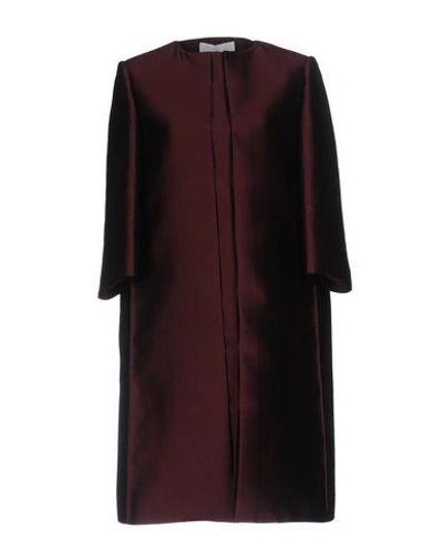 Capucci Full-length Jacket In Maroon
