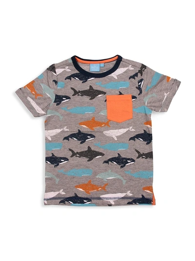 Bear Camp Babies' Little Boy's Aldo Whale-print T-shirt In Grey