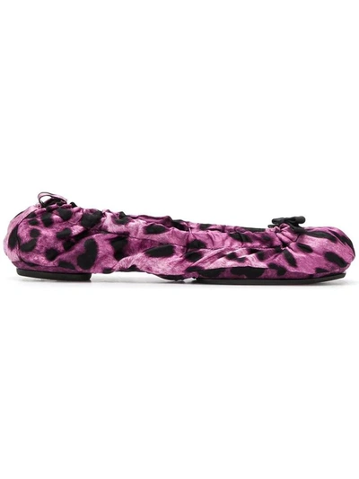 Dolce & Gabbana Leopard Print Ballerinas Fuxia In Viola