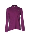 Lacoste Polo Shirt In Purple