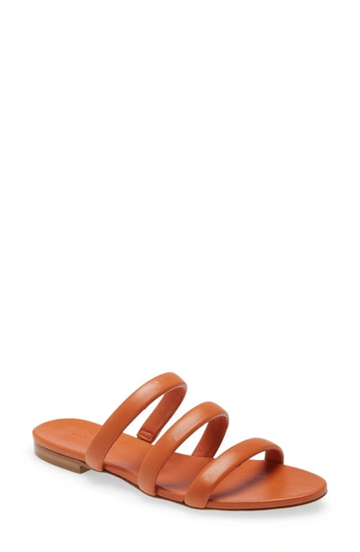 Aeyde Chrissy Saffron Slide Sandals In Brown