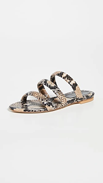 Aeyde Python-print Leather Mules In Natural