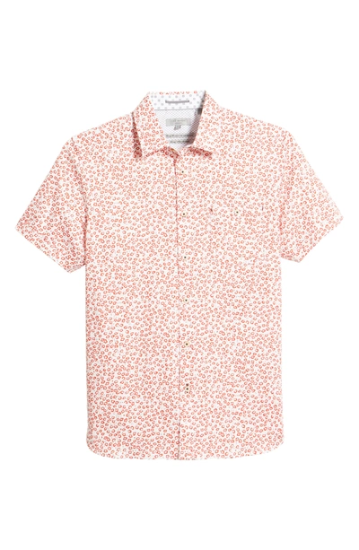 Ted Baker Parslee Floral Stretch Short Sleeve Button-up Shirt In Red