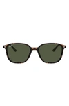 Ray Ban 53mm Square Sunglasses In Green Havana