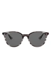 Ray Ban Phantos 53mm Round Sunglasses In Grey Havana