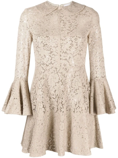 Patou Floral-lace Mini Dress In Neutrals