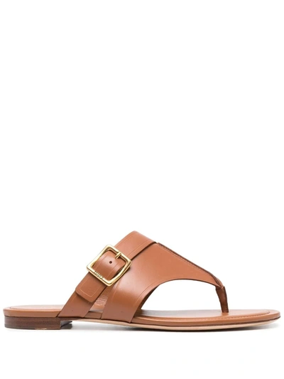 Tod's Monk-strap Leather Slides In Brown