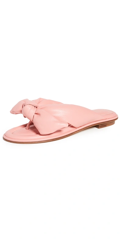 Alexandre Birman Soft Clarita Flat In Salmon Pink