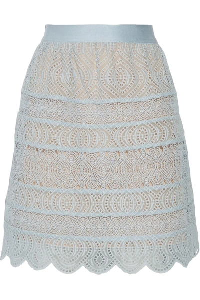 Zimmermann Bell Flared Paneled Crochet And Broderie Anglaise Organza ...