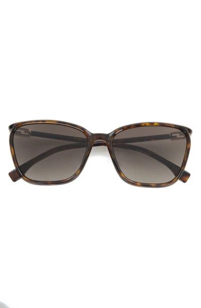 Fendi 60mm Gradient Cat Eye Sunglasses In Dark Havana/ Brown Gradient