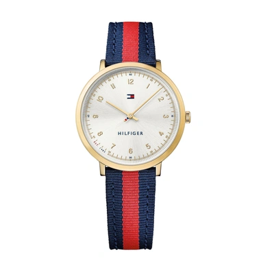 Tommy Hilfiger Gold Dress Watch With Canvas Strap - Gp/red & Blue Nylon Leather