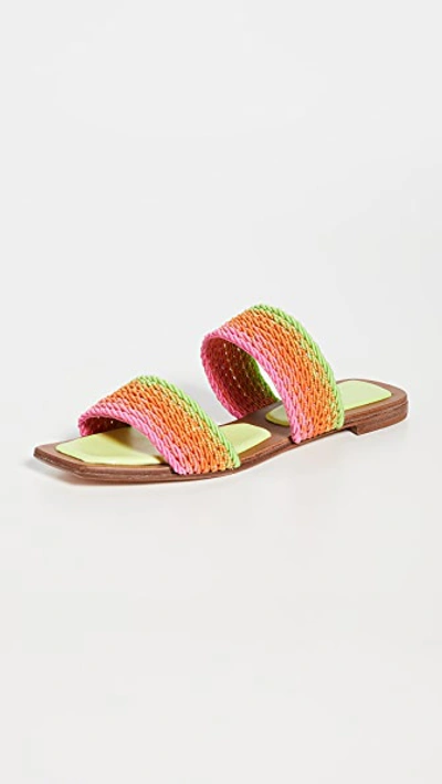 Alexandre Birman Georgia Flat Sandals In Sunny Lime/frozen Mango/bubble