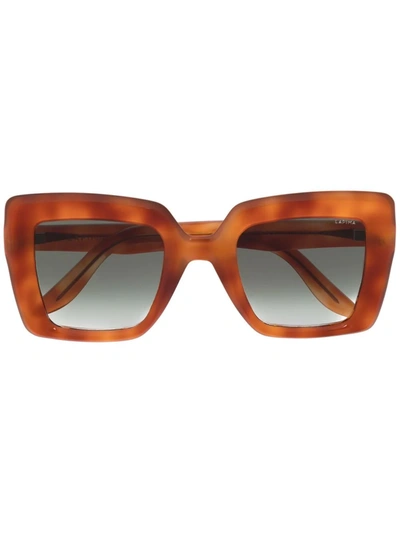 Lapima 'teresa' Square Tortoiseshell Effect Acetate Frame Sunglasses In Brown