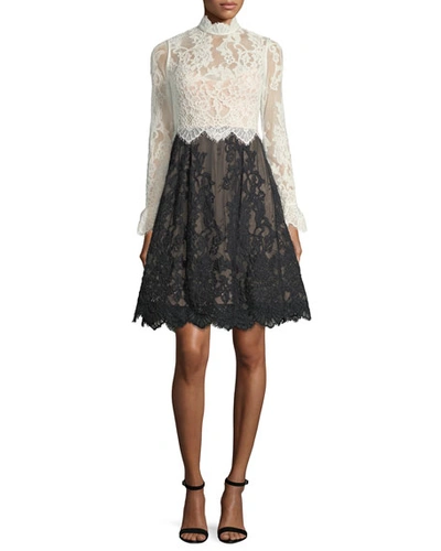 Catherine Deane High-neck Scalloped Lace Fit-and-flare Cocktail Dress In Oysterblack