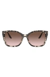 Prada 54mm Gradient Cat Eye Sunglasses In Brown